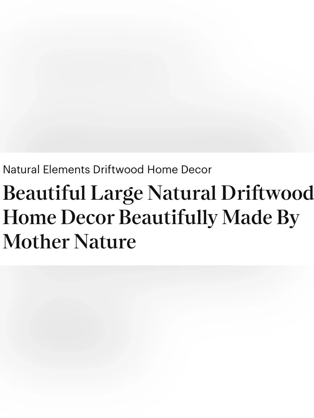 Natural Driftwood Logs Coastal Beach Naturescape Set Neutral Brown Gray Tan